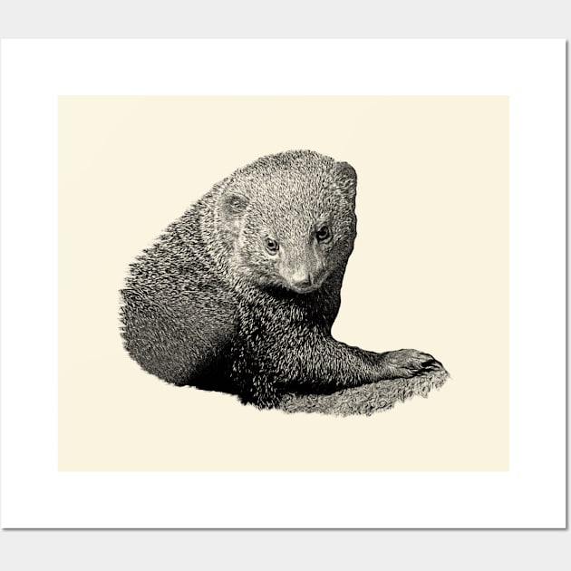 Mongoose Wall Art by Guardi